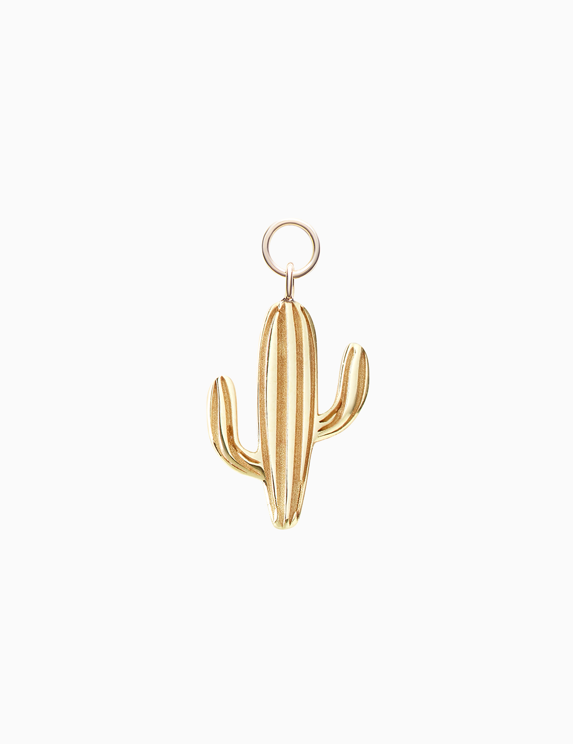 Charm Cactus
